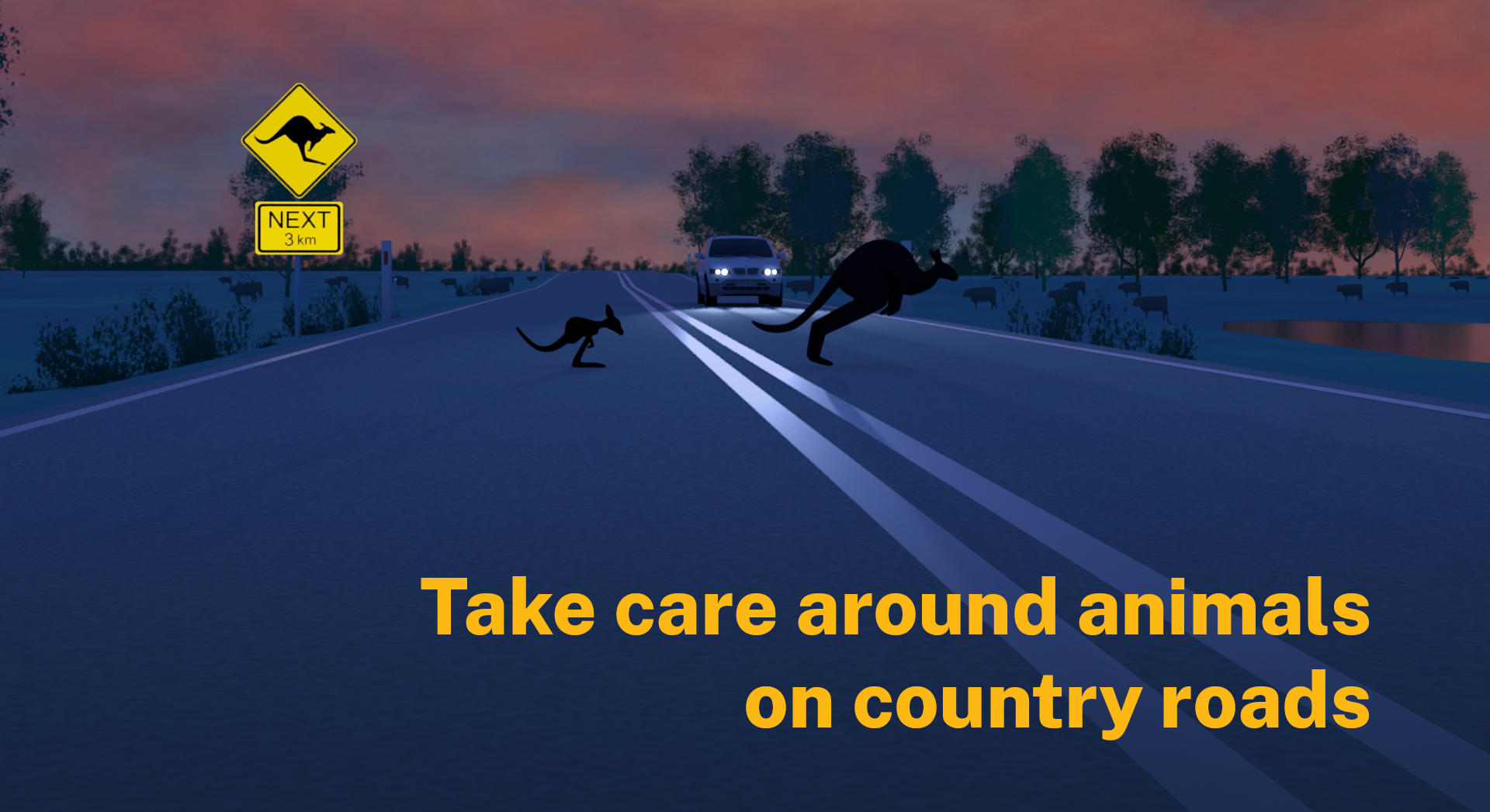 Look out! Campaign reminds motorists to take care around animals on country roads